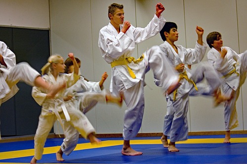 Karate en Jiu Jitsu