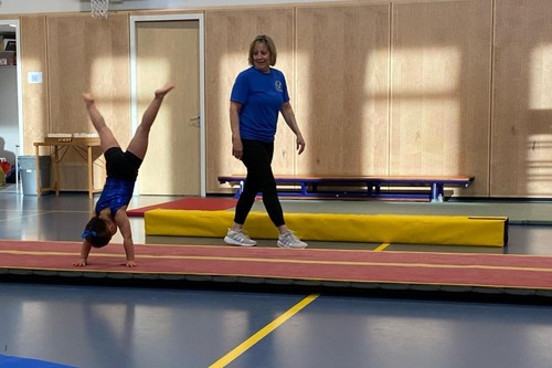 Turnen/Peuter-Kleutergym