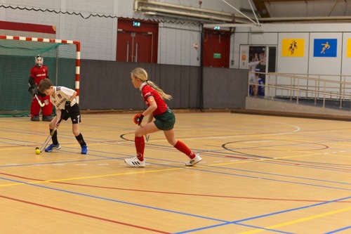 Zaalhockey